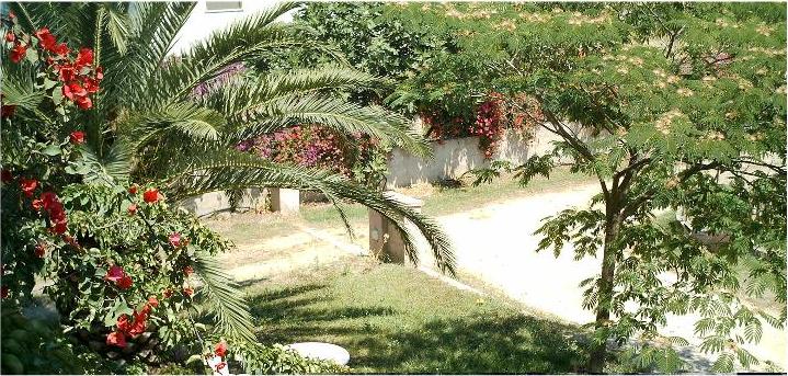 PANORAMICA GIUSTA.jpg